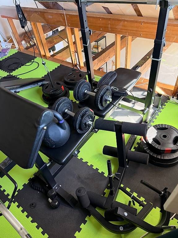 Hometrainer: Gorilla Press Bench Kraftstation inkl. Gewichte – Usato da Zürich venduto da mic_v7zw 2