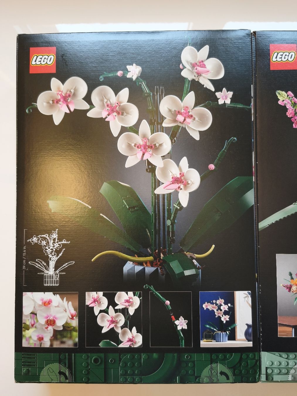 Lego Baukästen: LEGO Botanical Collection 10281, 10280, 10311 – Neu (gemäss Beschreibung) aus Rüfenacht BE von Morfius 5