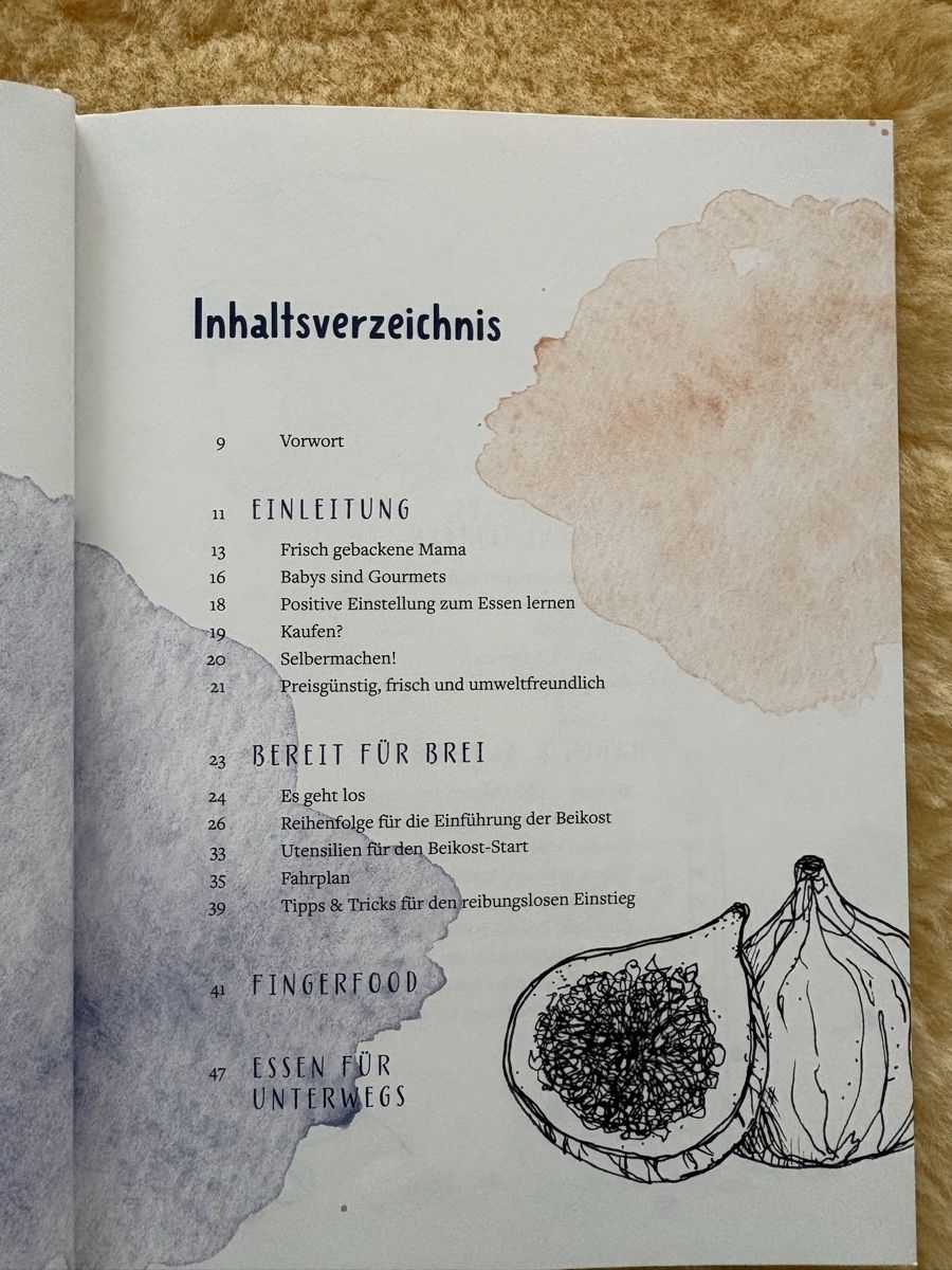 Libri: Babybrei und Beikost Buch – Usato da Uhwiesen venduto da FehrN 2