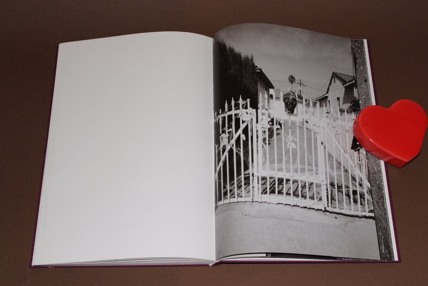 Libri: Cameron Jamie - Front Lawn Funerals #Horror #Halloween – Usato da Aarau venduto da Pearlz 5