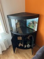 Aquarium Juwel Trigon 190 lt L