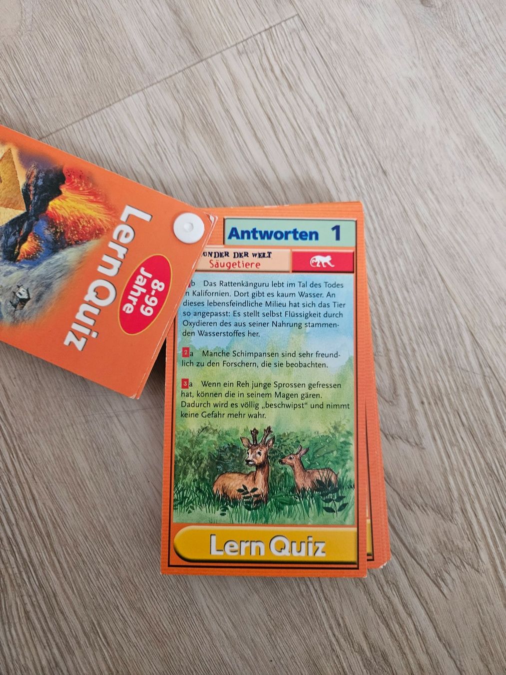 Giochi: Lern Quiz – Usato da Wattwil venduto da Belinda98 1