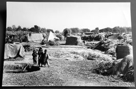Erh. Hürsch: 5 Fotos um 1975, Afghanistan (XVI), Zeltlager