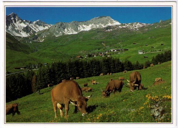 Cartes postales: Arosa – D'occasion à Binningen par Mountainrider