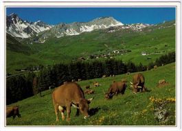 Arosa