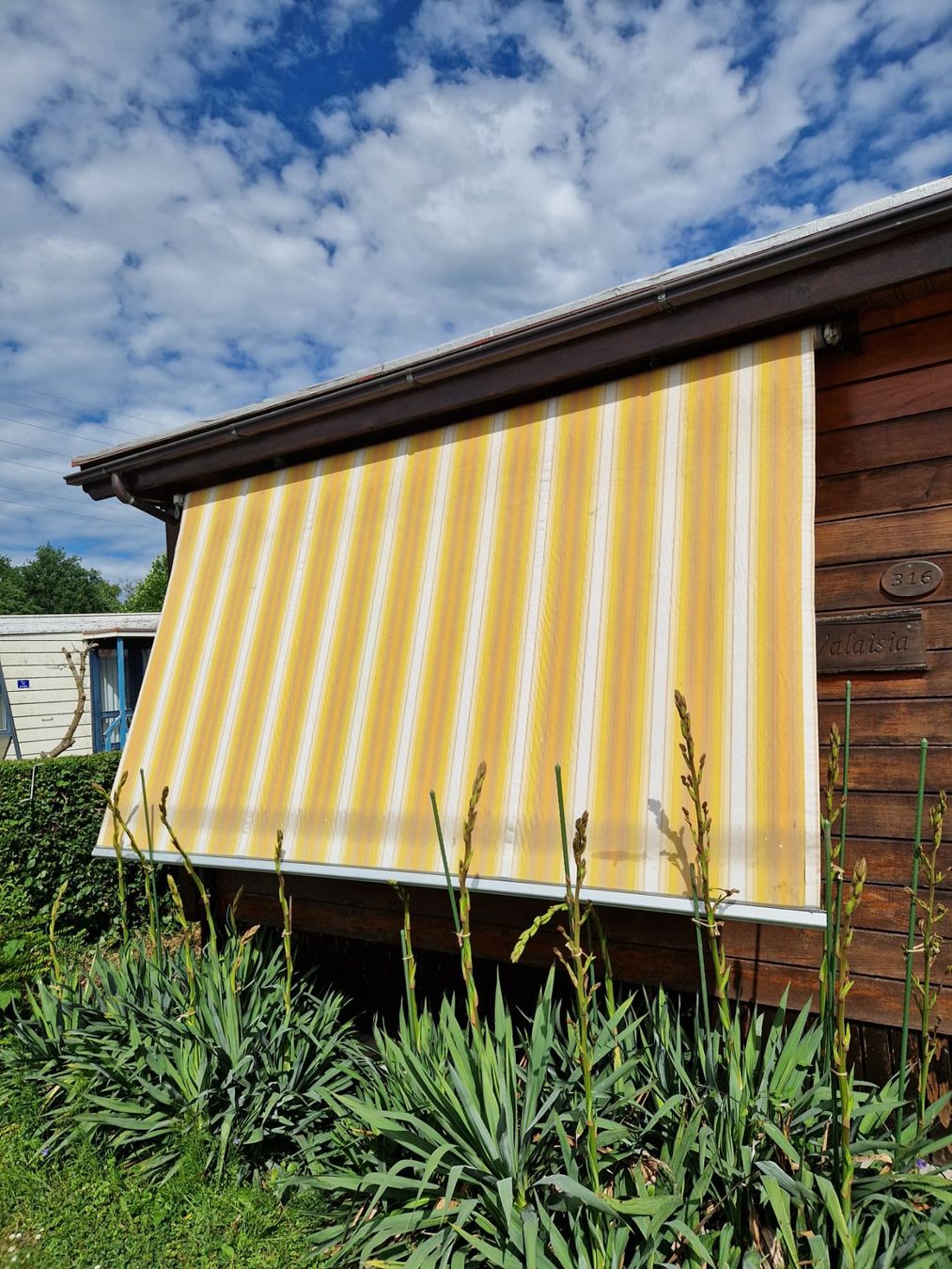 Tende da sole: Sonnenstore – Usato da Uttigen venduto da drehma 1