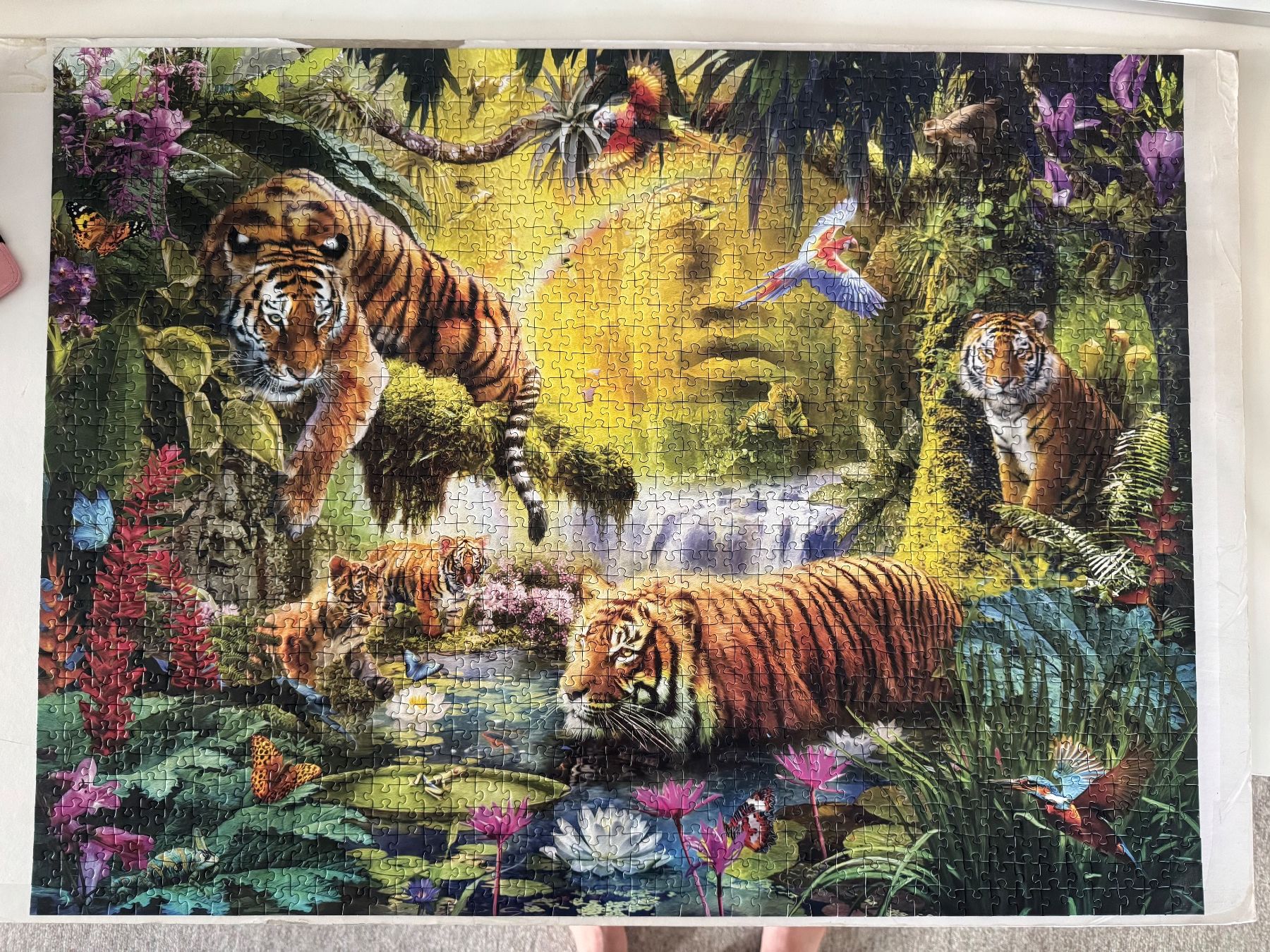 Ravensburger Puzzles: Ravensburger Puzzle Tiger – Gebraucht aus Frauenfeld von del_myr2 2