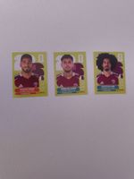 Panini Sticker FIFA World Cup QAT 