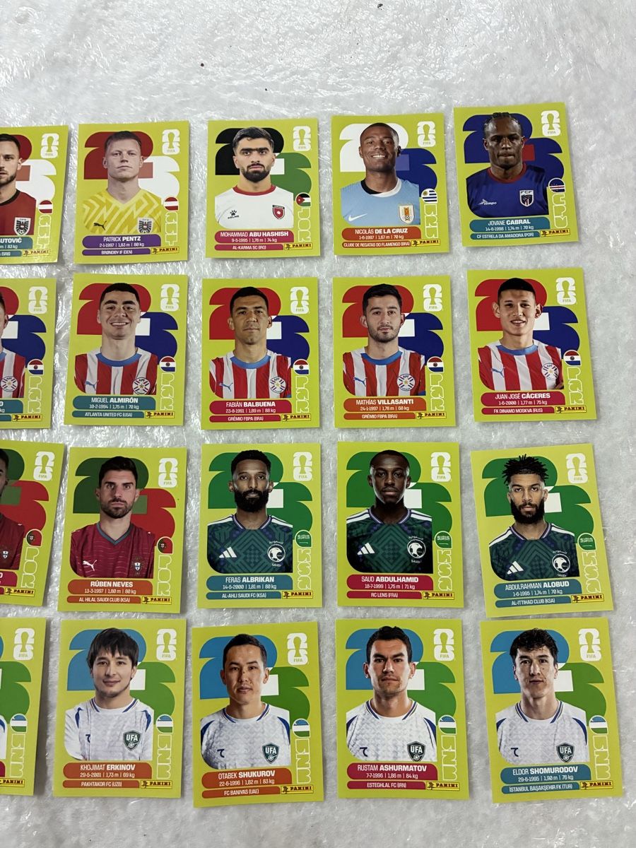 Panini Carte collezionabili: Fussball Panini WM2026 – Usato da Emmen venduto da paesu6 1