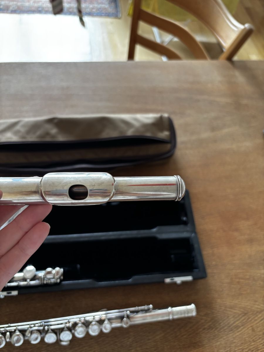 Strumenti musicali: miyazawa flute querflöte – Usato da Bern venduto da ginaaaa 8
