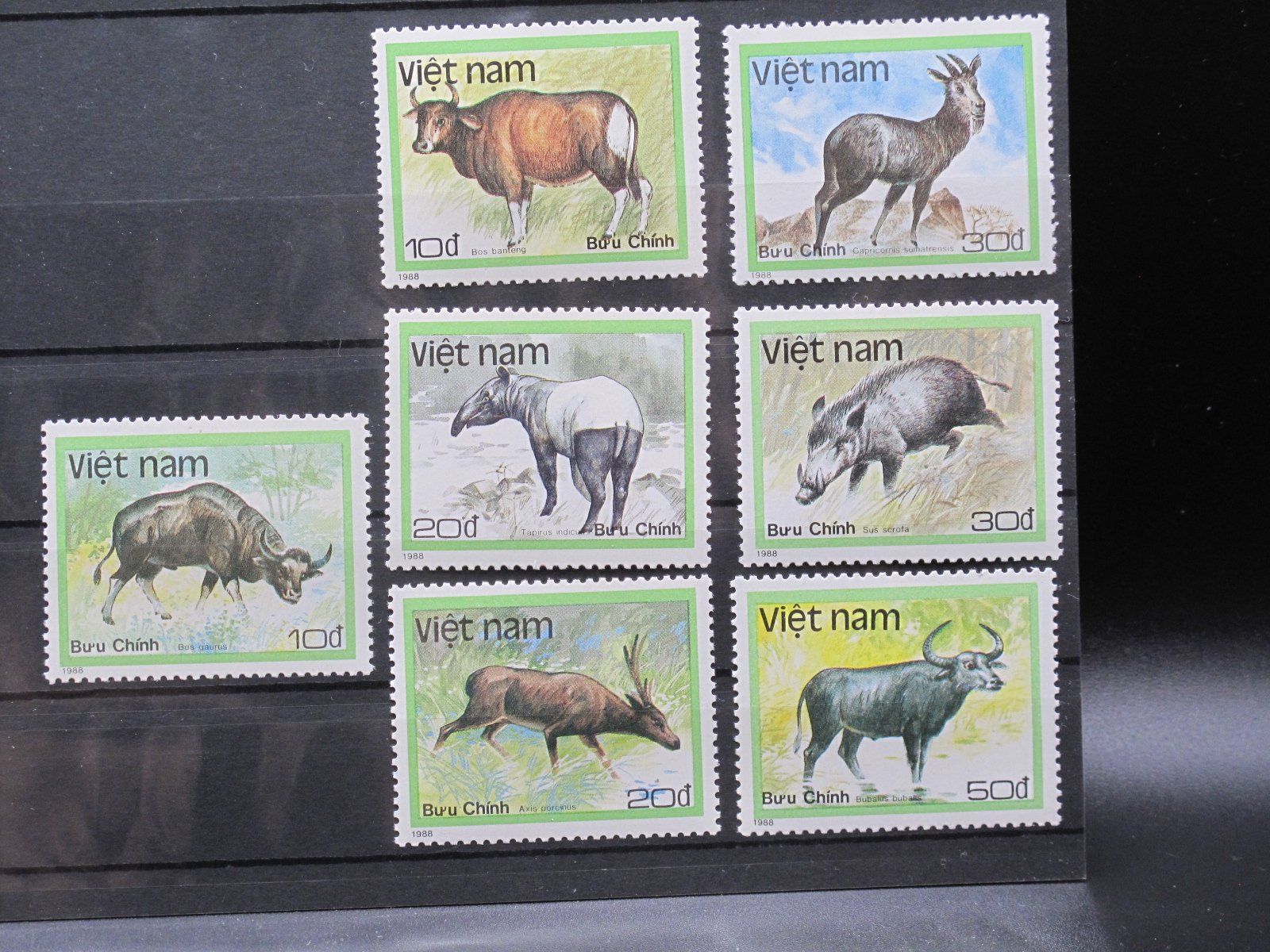 Alle Briefmarken: Vietnam 1988 Tiere ** – Gebraucht aus Wil SG von fva01
