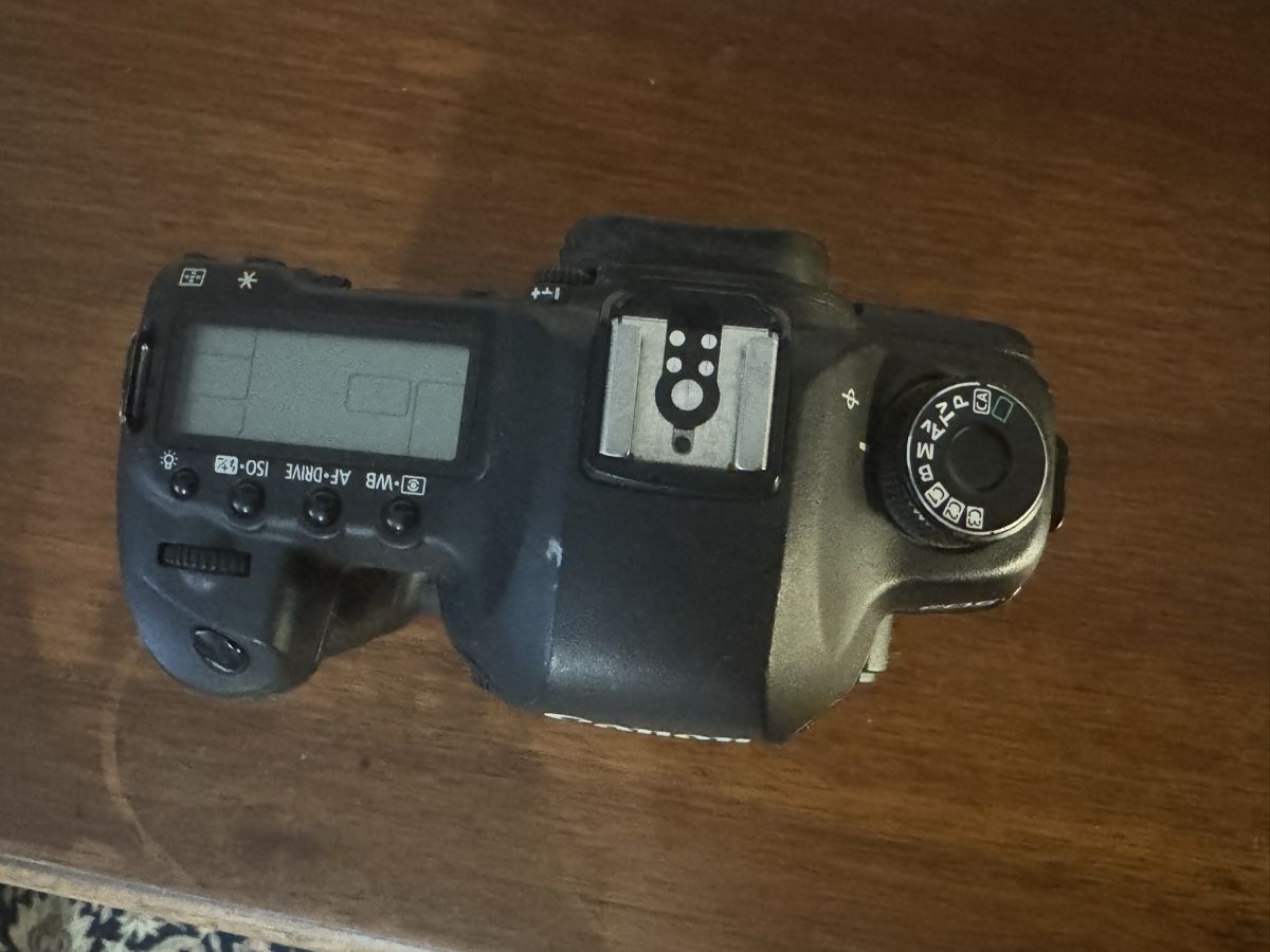 Canon Fotocamera: Canon EOS 5D Mark II Kamera 49k Shutter – Usato da Brugg AG venduto da 50sven 1