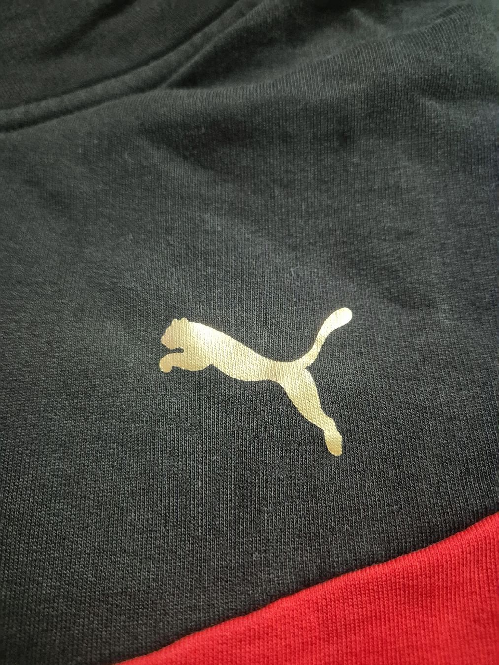 Puma Giacche: Puma French Terry Jacke Grösse M – Nuovo (secondo la descrizione) da St. Gallen venduto da CaliSunshine 2