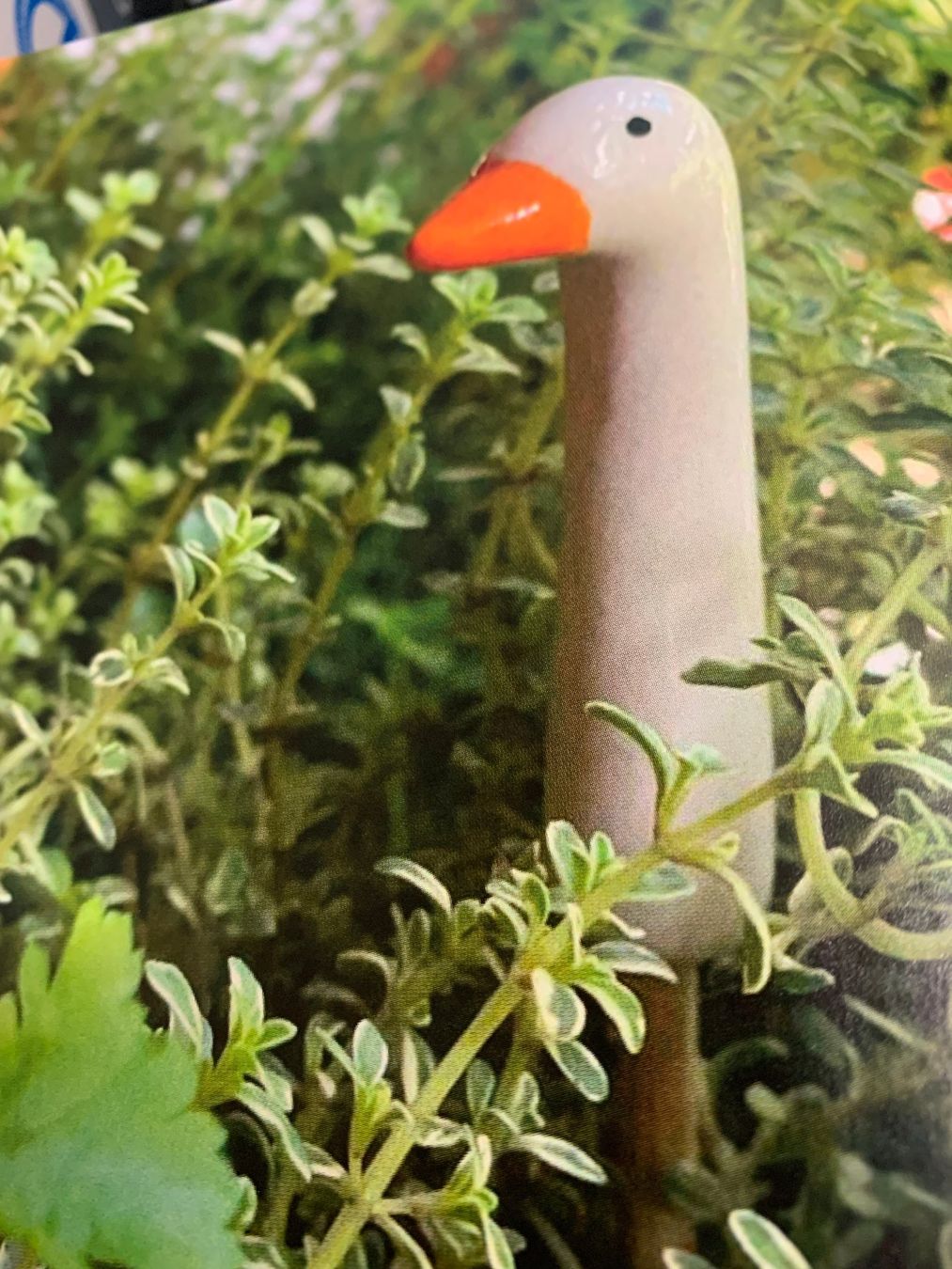 Tutte le decorazioni: Blumenstecker mit Gänsekopf, Keramik, Gans – Nuovo (secondo la descrizione) da St. Gallen venduto da Miousch