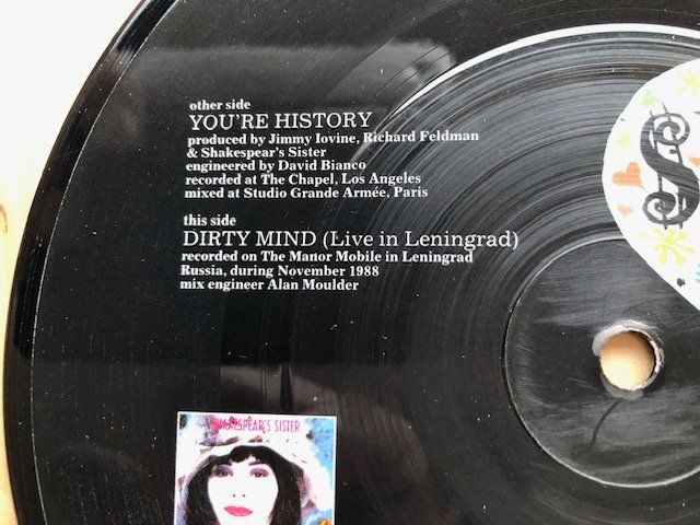 Dischi in vinile: Shakespear's Sister – Usato da Aarwangen venduto da Jukebox3 3