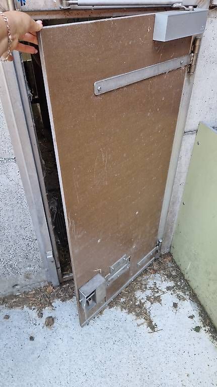 Sicherheit: Schweinestall einrichtung – Gebraucht aus Münsingen von liz_kg5w 1