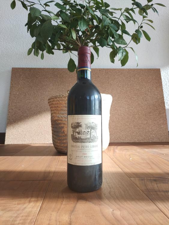CHATEAU PEYRE-LEBADE 1995 HAUT-MEDOC (Gebraucht) in Brienz BE für CHF ...