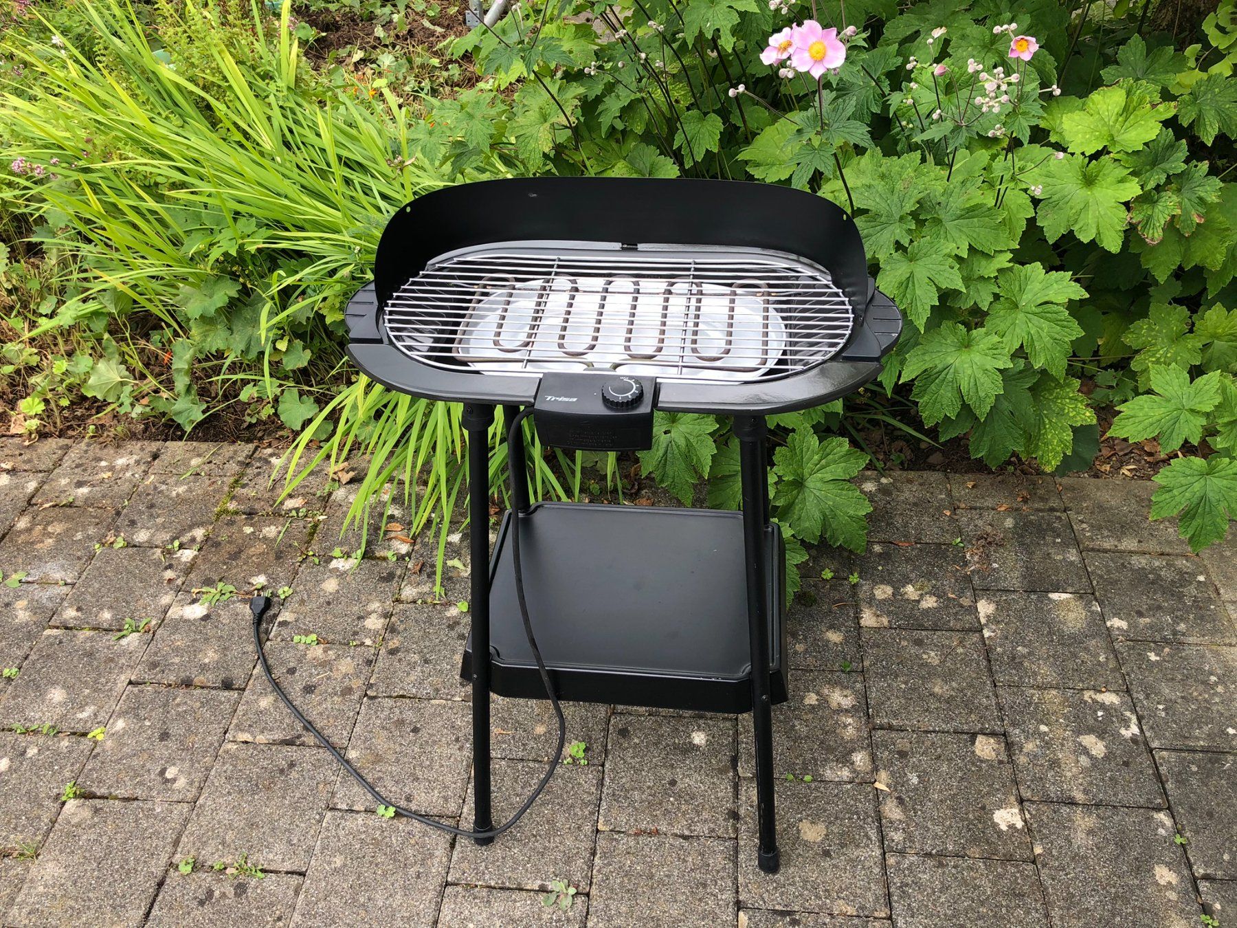 Trisa Grils: Elektrogrill von Trisa – D'occasion à Wetzikon ZH par mih_s7q5
