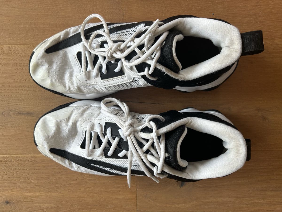 Nike Scarpe da uomo: Nike Hallenschuhe – Usato da Wattwil venduto da mar_q66h 1