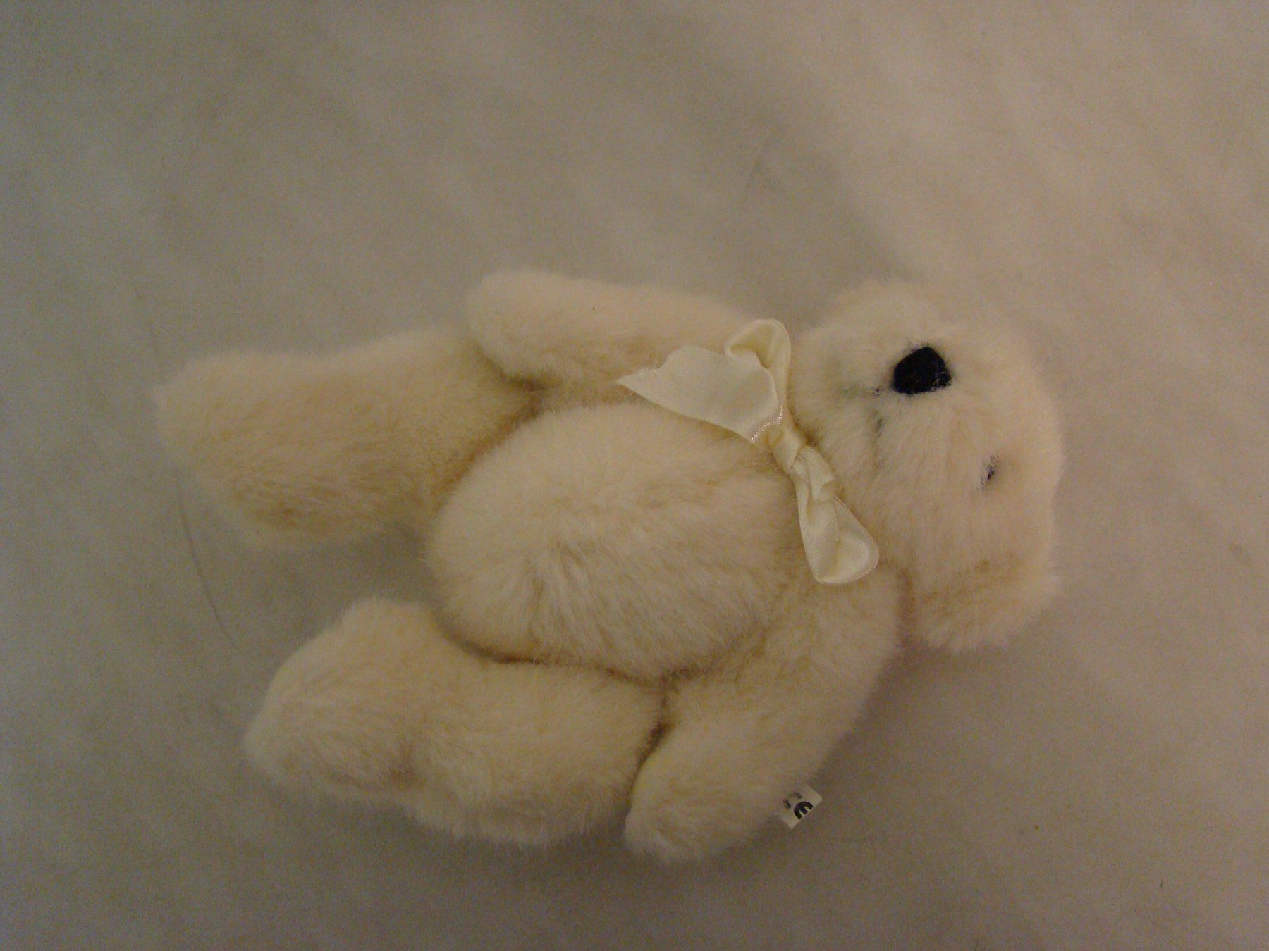 Spielzeuge: Plüsch Teddybär weiss-beige Grösse 20cm – Gebraucht aus Malters von burzi 2