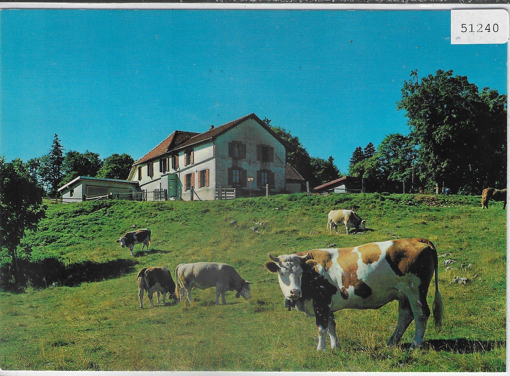 Cartoline postali: Chalet-Restaurant du Mt. de Baulmes – Usato da Ettingen venduto da Kartenplanet