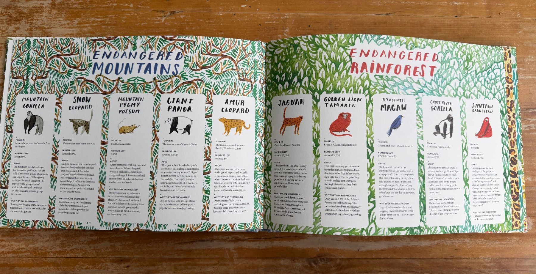 Libri: Kinderbuch - Disappearing Acts – Usato da Zürich venduto da laurapb 2