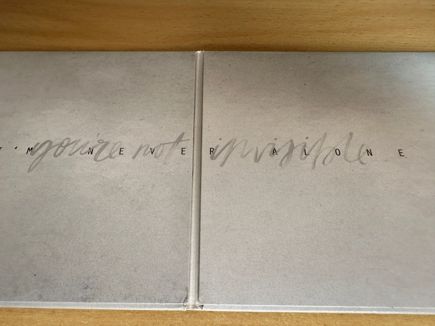 CD: Leeland – Invisible – Usato da Rikon im Tösstal venduto da Alpenmutz 2