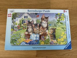Ravensburger Puzzle 15 Teile Katzen Kinder ab 3 Jahre 