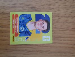 Panini BIH 9