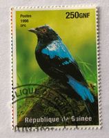 Briefmarken aus Guinea GESTEMPELT  Siehe Original Fotos. 