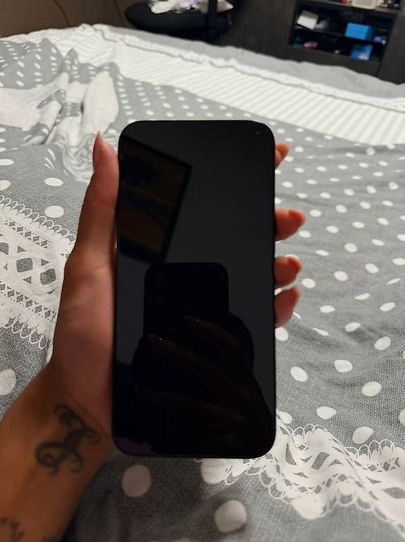 Portables: iPhone 15 Pro Max 256GB Blue Titan – D'occasion à Bassersdorf par rub_hb6j 3