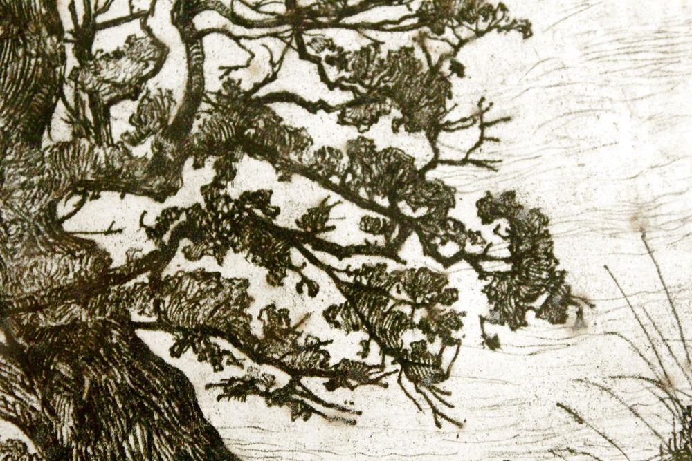 CARL THEODOR MEYERBASEL (Swiss, 18601932) Eichen/Hasliberg Kaufen