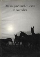 Das eidgenössische Gestüt in Avenches 1954