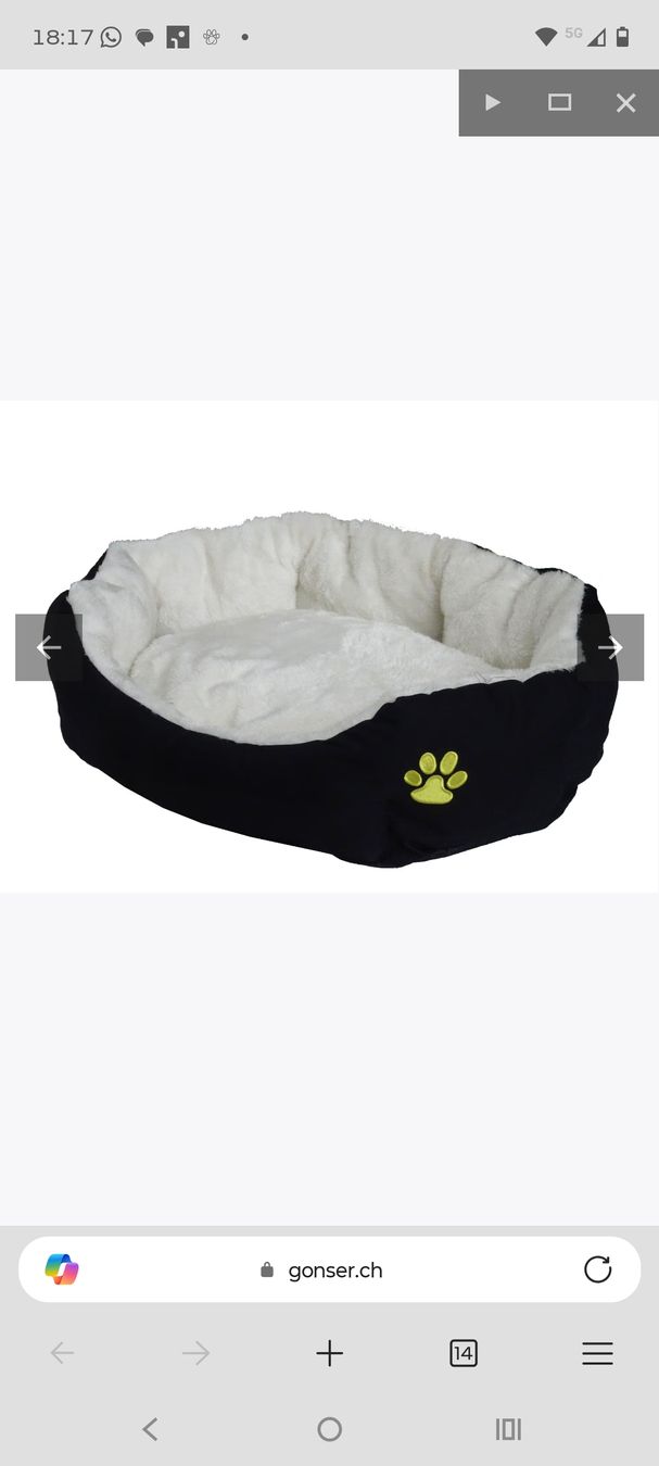 Cucce & Letti: hundekorb – Nuovo (secondo la descrizione) da Bichelsee venduto da Andi790 5
