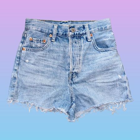 Levi’s Ribcage Denim Shorts (Size 23)