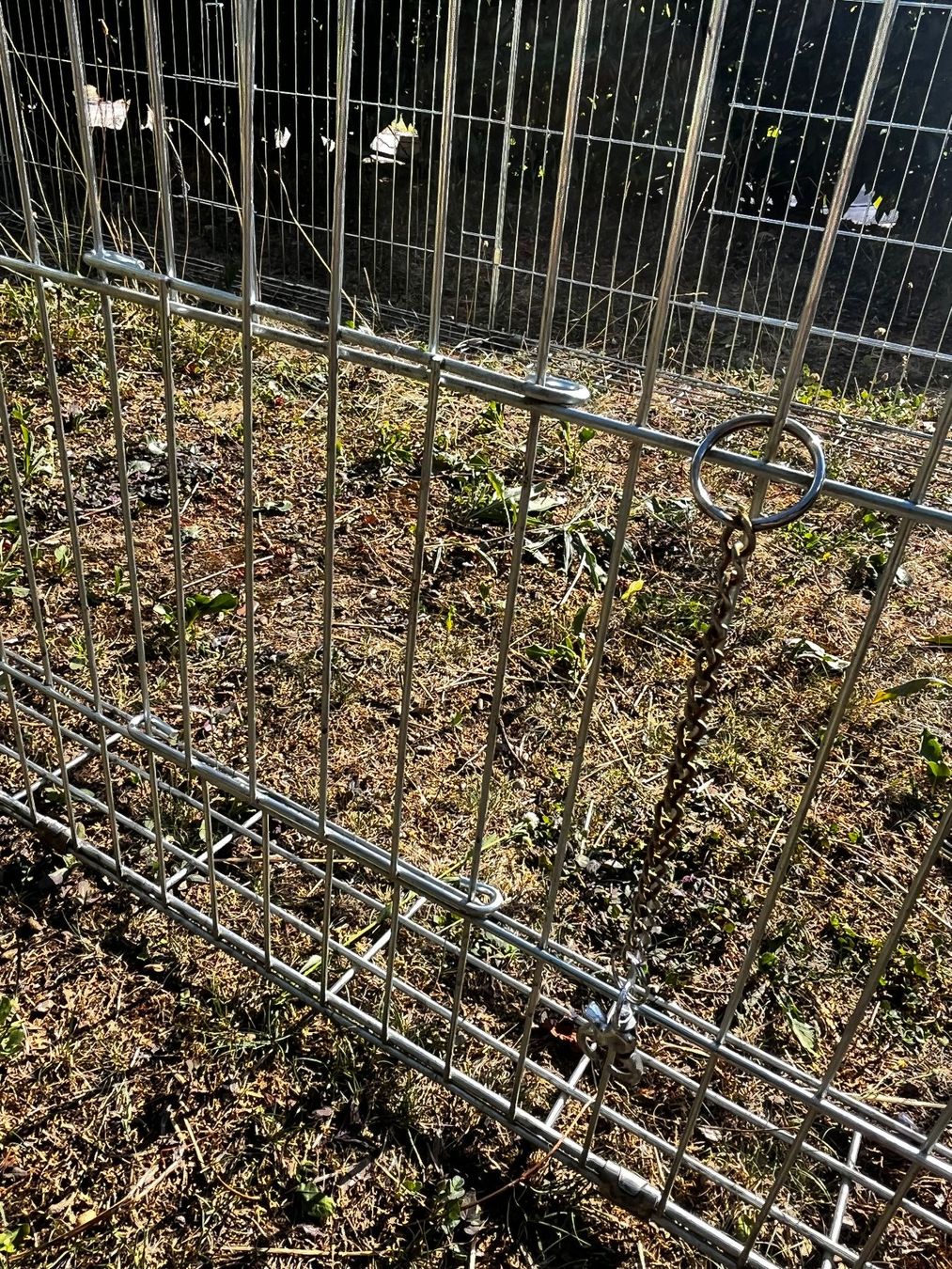 Käfige, Transport & Sicherheit: Aussengehege für Meerschweinchen oder Hasen – Gebraucht aus Wettingen von haagli68 6