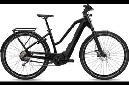 NEU E-BIKE FLYER 25KM/H | 95NM & 750WH FIT PANASONIC