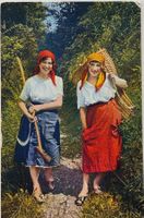 Tessin, Locarno, Costumi, Landwirtschaft, 1923