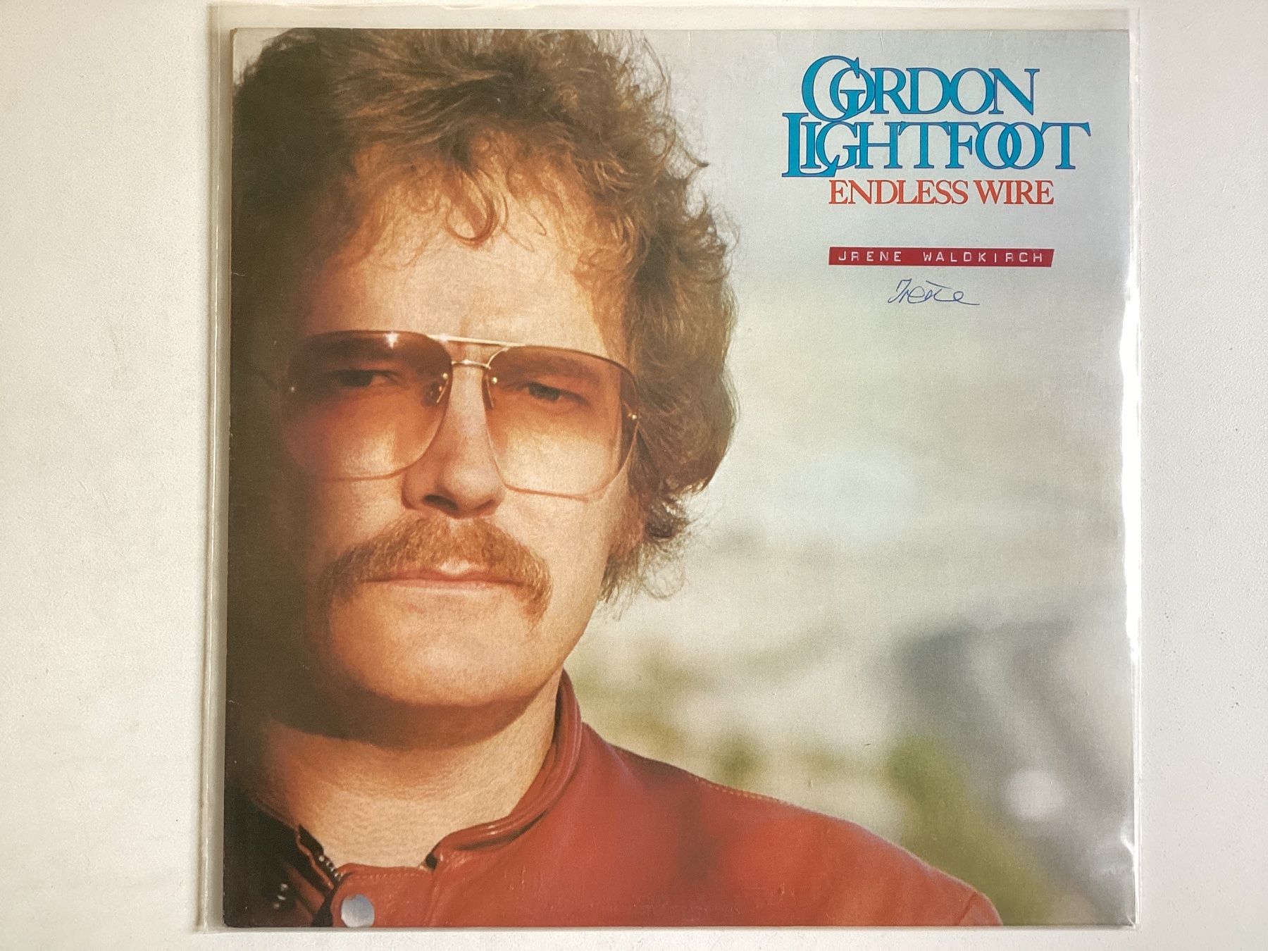 Dischi in vinile: Gordon Lightfoot LP - Endless Wire (WOC, TOC) – Usato da Gutenswil venduto da Hamzian
