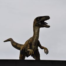 Profile image of AlexShmalex