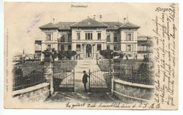 HORGEN Krankenasyl, Stabstempel Horgen, 1902 gel. n. Herisau