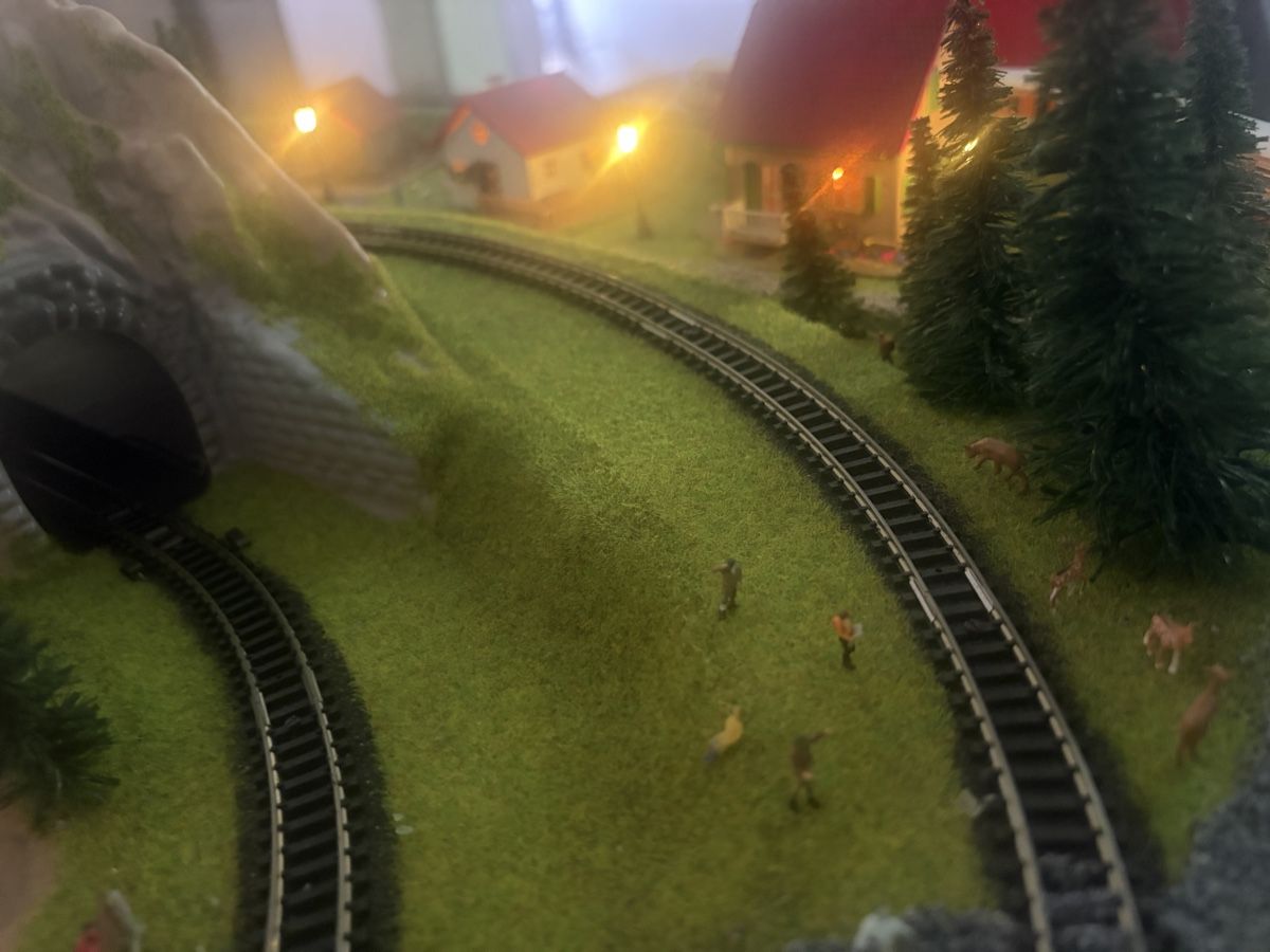 Trix Modellini di ferrovie: Spur N Anlage Minitrix – Usato da Wil SG venduto da steinlin07 3