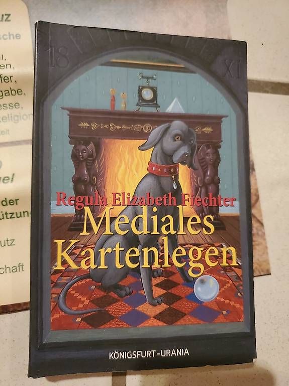 Bücher: Mediales Kartenlesen Set – Gebraucht aus Wattenwil von ste_tvc7