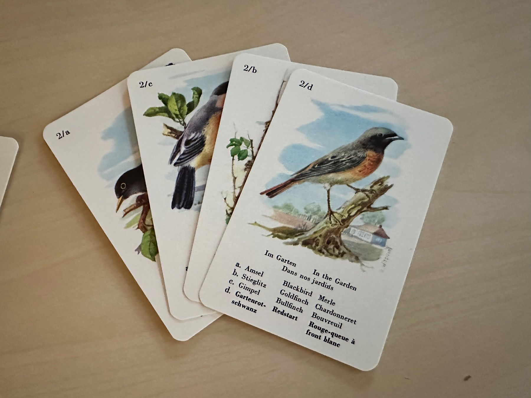 Giochi: Quartett Heimische Vogelwelt – Usato da Bülach venduto da Jubet 1