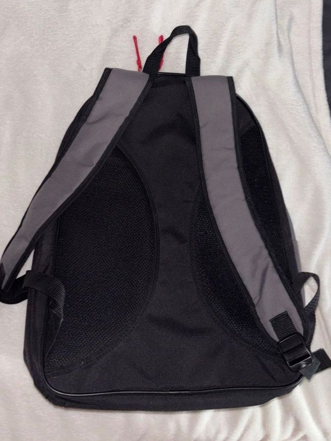 Wilson Zaini: Wilson Tennis-Rucksack grau-rot – Nuovo (secondo la descrizione) da Gunzwil venduto da mel_gd8m 1