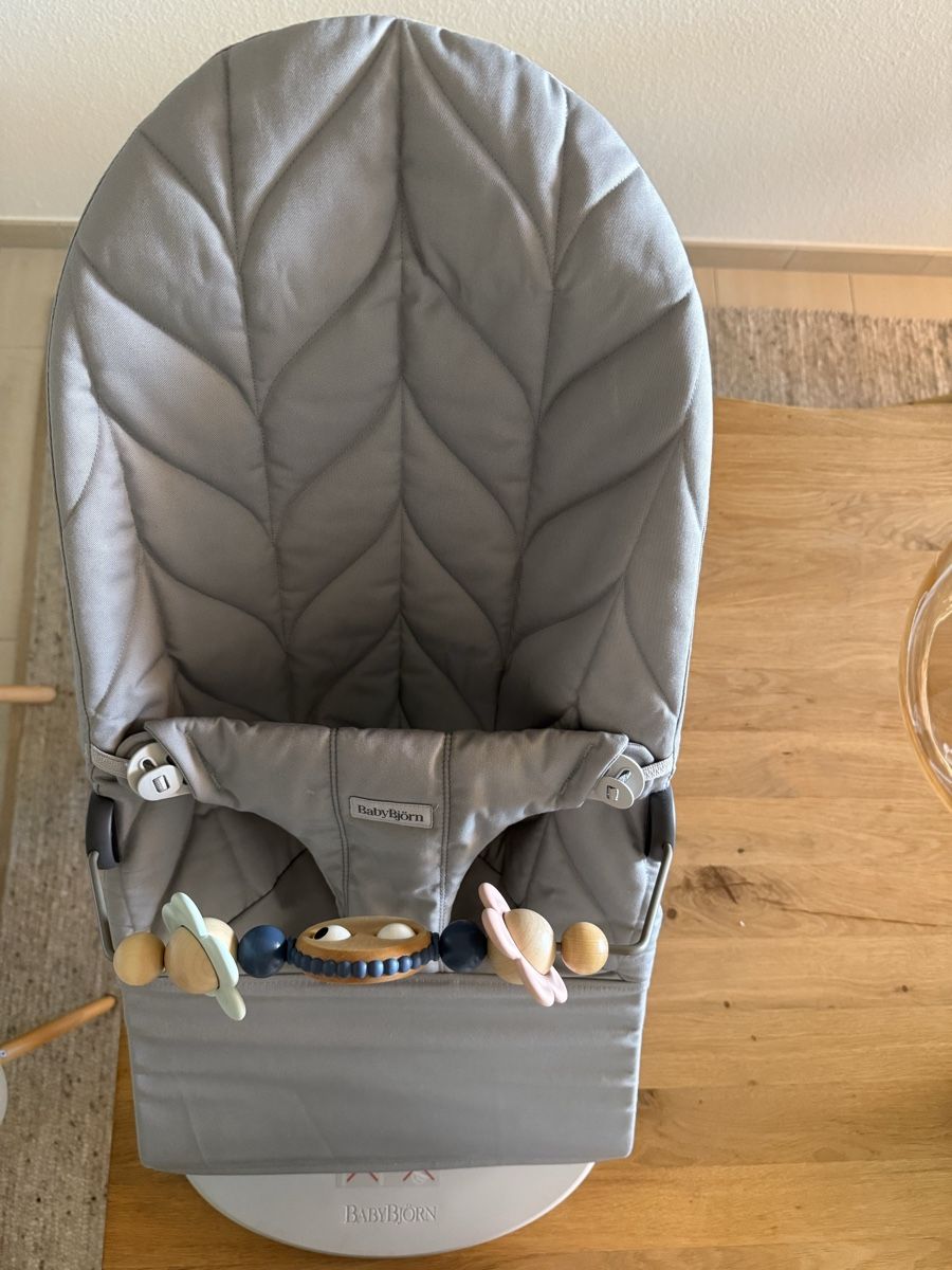 Babybjörn Wippen & Schaukeln: BabyBjörnBliss Wippe – Gebraucht aus Horgen von ann_yh7f 6