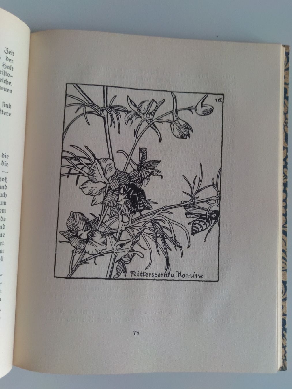 Livres: Hermann Christ Der alte Bauerngarten – D'occasion à Basel par Basler_bieter 5