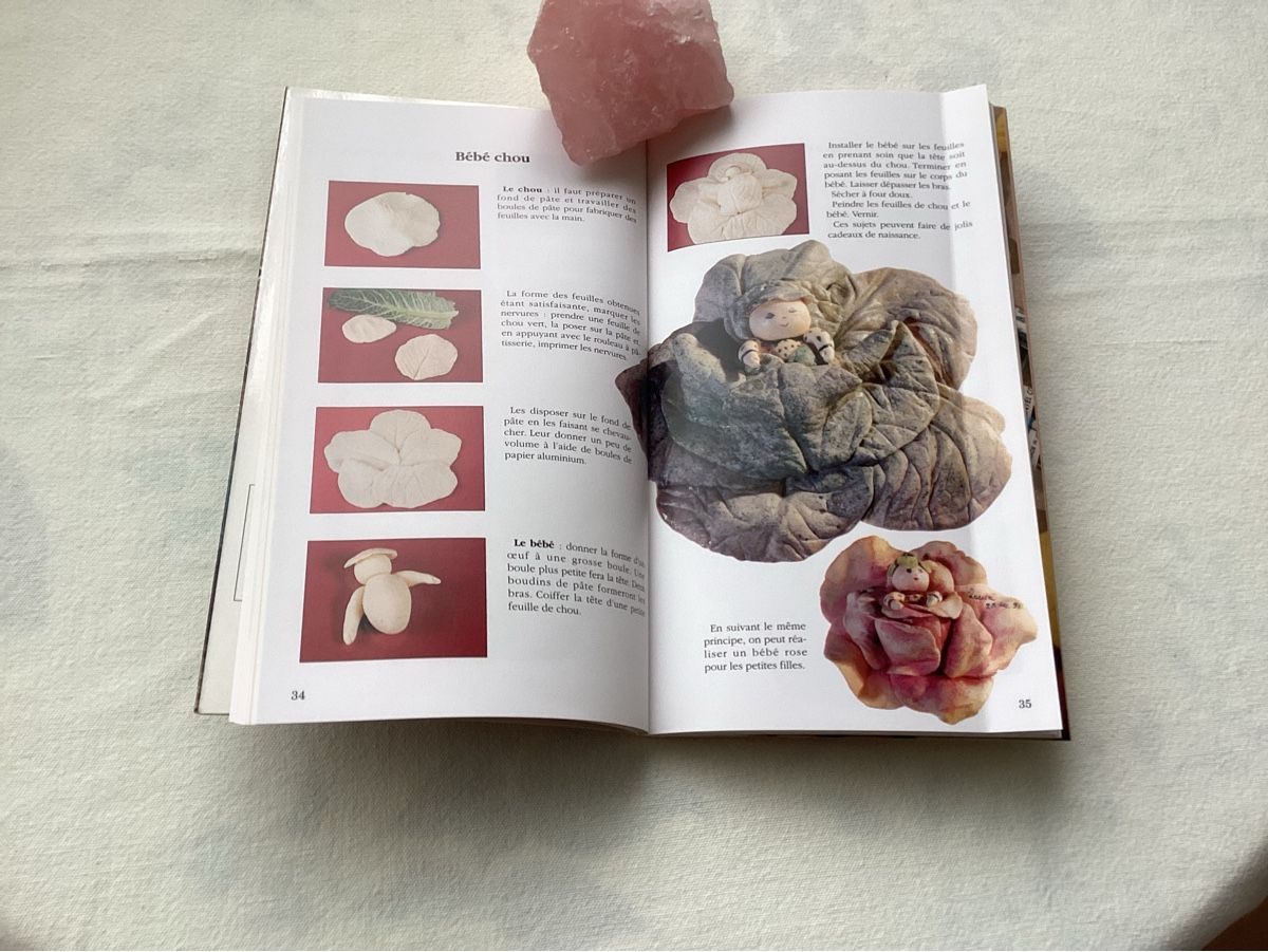 Libri: Livre sur Pâte à sel – Nuovo e nell'imballaggio originale da Lausanne venduto da Ulpet 1