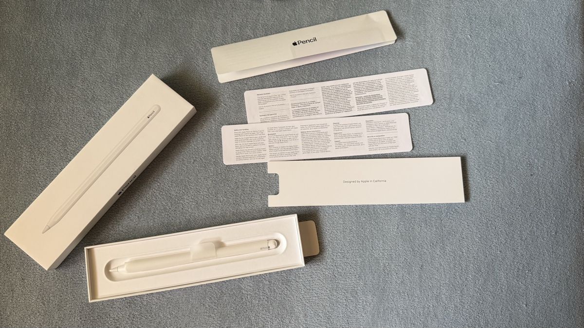 Apple Penna & Evidenziatori: Apple Pencil 2. Generation neuwertig mit Zubehör – Nuovo (secondo la descrizione) da Gurmels venduto da sta_p5tr 3
