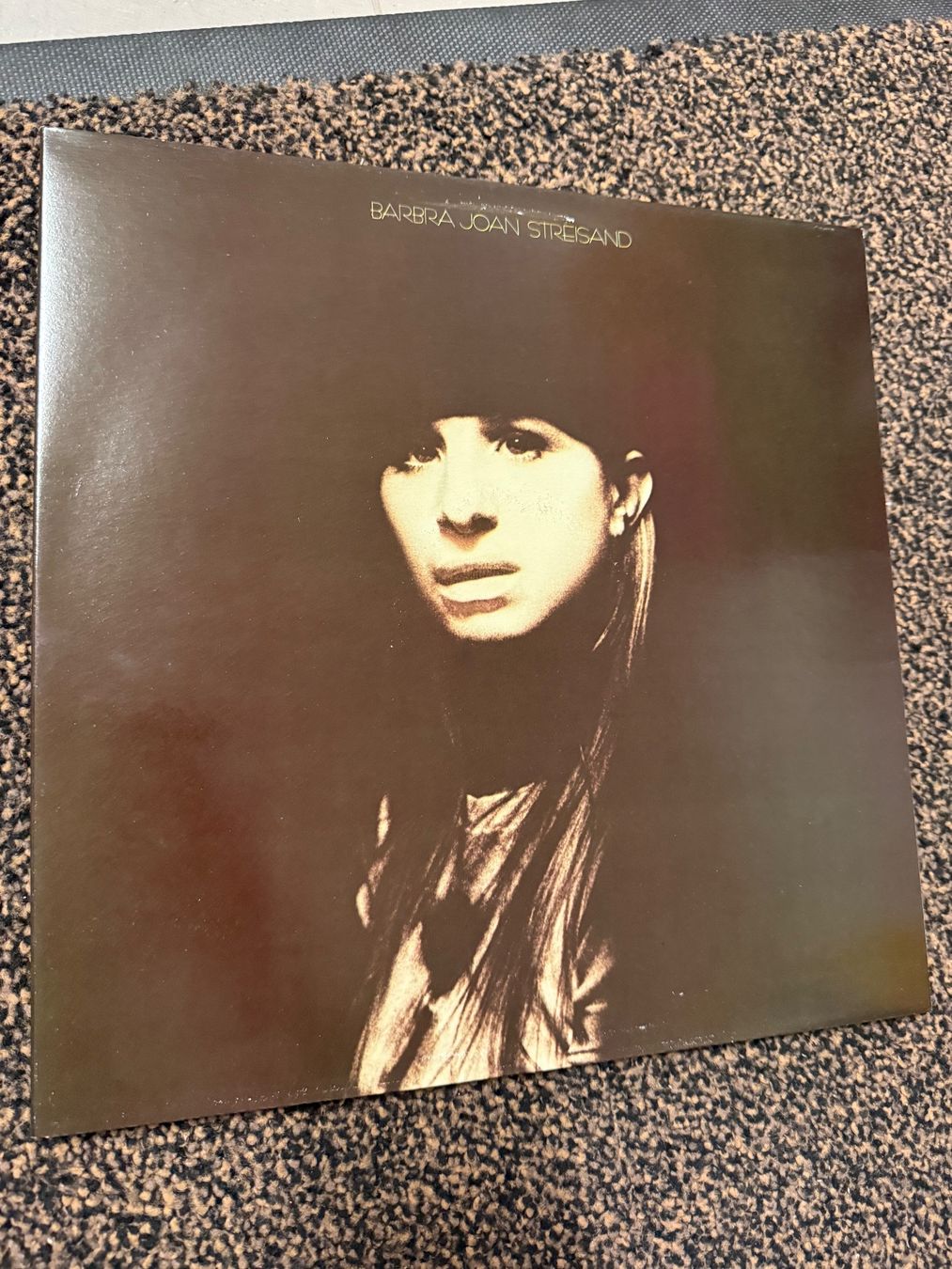 Dischi in vinile: Schallplatte / Barbara Streisand / Joan – Usato da Freidorf TG venduto da sarotiko